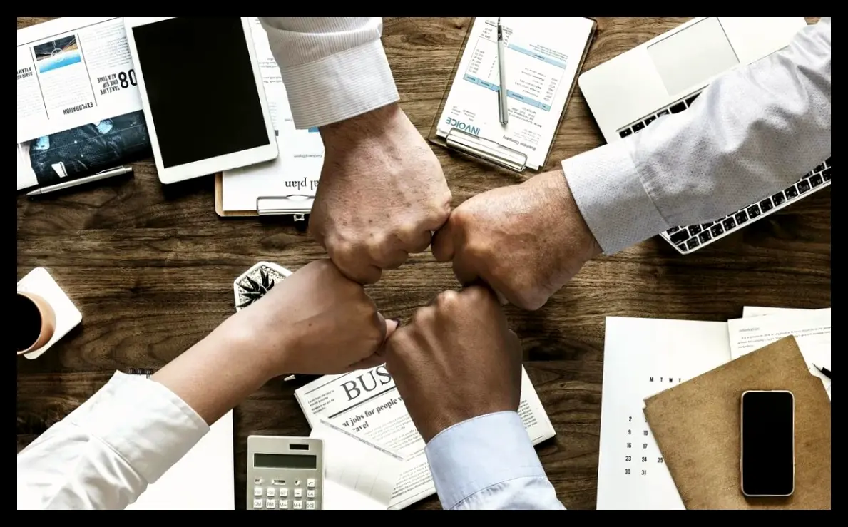 انواع مختلف LLC: کدام نوع برای کسب‌وکار شما مناسب است؟